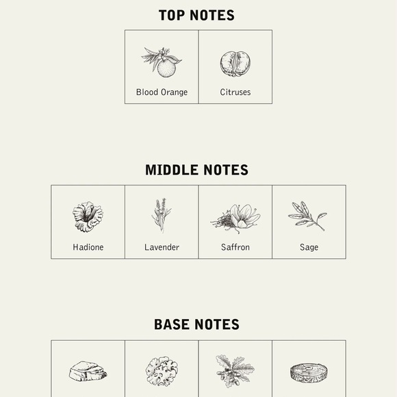 NNT Lab Fragrance Set - Picture 5 of 7